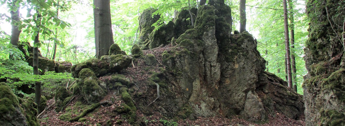 Windburg &ndash;  (09.02.2018, VGN &copy;&nbsp;VGN GmbH)