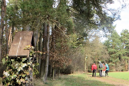 Richtung Mandelsmühle &ndash; (09.02.2018, VGN &copy;&nbsp;VGN GmbH)