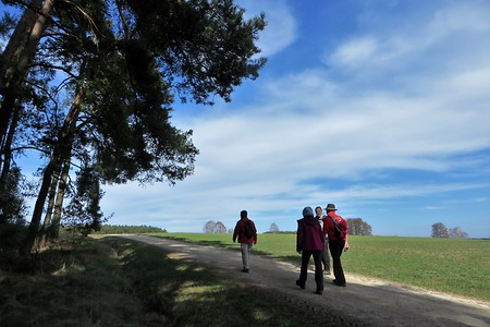 Hinauf nach Hohenweiler &ndash; (09.02.2018, VGN &copy;&nbsp;VGN GmbH)