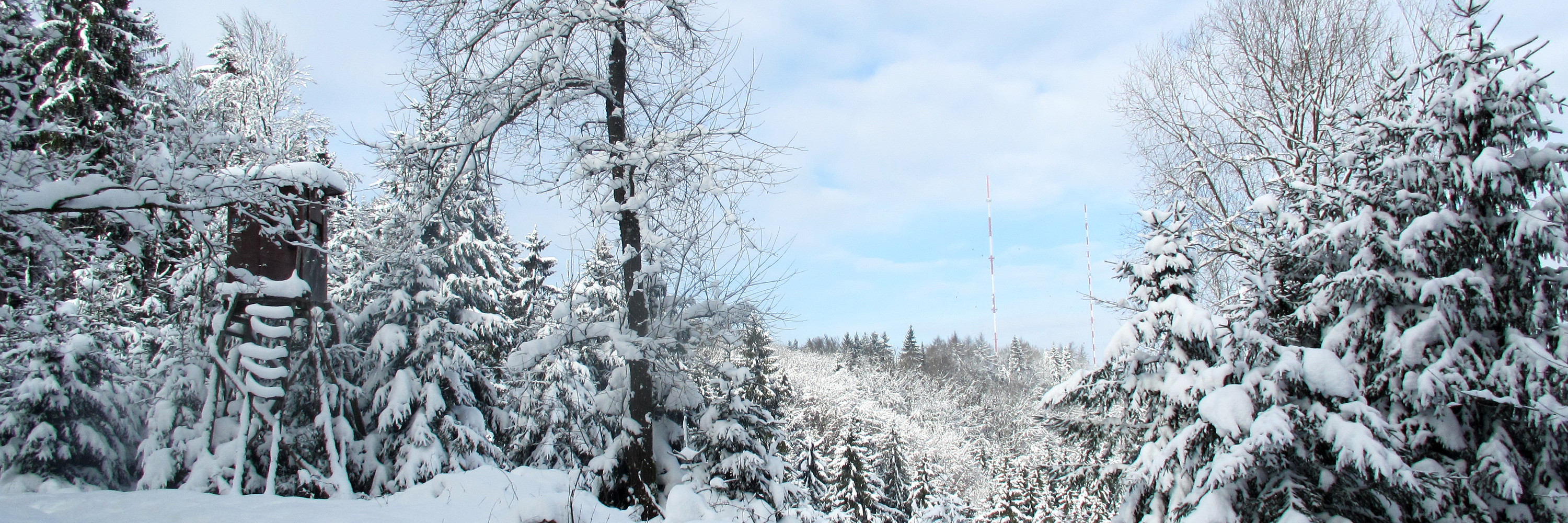 Https Www Dorfen De Media 5880 Buergerinfo Dorfen Maerz 2019 Pdf