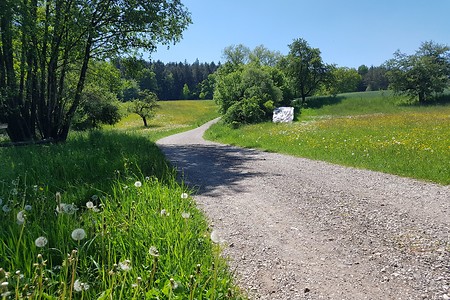 Weg nach Altdorf &ndash; (18.05.2020, S. Dassler &copy;&nbsp;VGN GmbH)