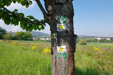 Wegemarkierung Spiegeleierweg &ndash; (16.05.2020, S. Dassler &copy;&nbsp;VGN GmbH)