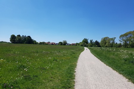 Weg nach Altdorf &ndash; (18.05.2020, S. Dassler &copy;&nbsp;VGN GmbH)