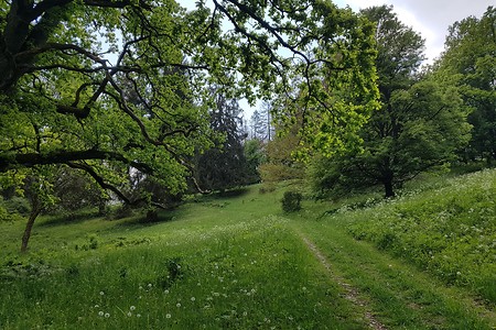 Grüner Weg &ndash; (16.05.2020, S. Dassler &copy;&nbsp;VGN GmbH)