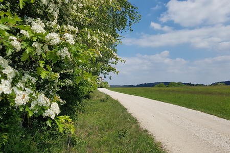 Weg &ndash; (16.05.2020, S. Dassler &copy;&nbsp;VGN GmbH)