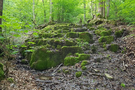 Sinterterrassen &ndash; (16.05.2020, S. Dassler &copy;&nbsp;VGN GmbH)