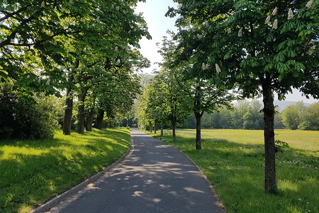 Kastanienallee &ndash; (16.05.2020, S. Dassler &copy;&nbsp;VGN GmbH)
