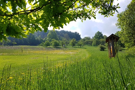Weg zum Deckersberggipfel &ndash; (16.05.2020, S. Dassler &copy;&nbsp;VGN GmbH)