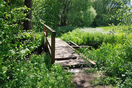 Holzbrücke &ndash; (18.05.2020, S. Dassler &copy;&nbsp;VGN GmbH)