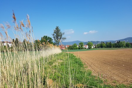 Blick zurück nach Hersbruck &ndash; (16.05.2020, S. Dassler &copy;&nbsp;VGN GmbH)