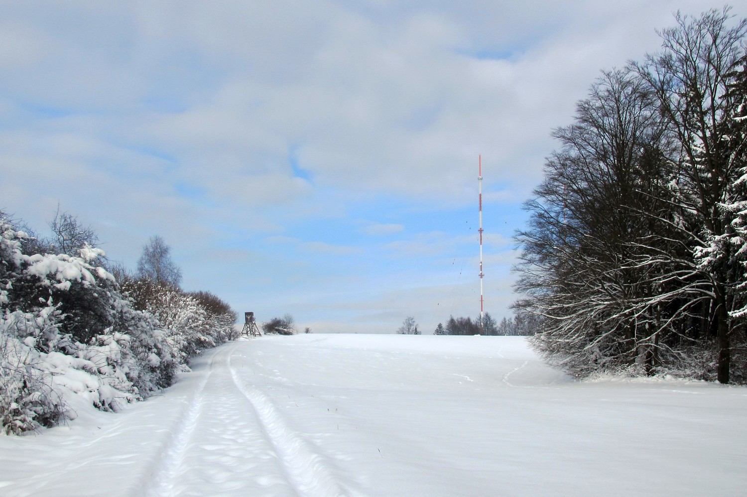 Auf dem Weg nach oben &ndash;  (VGN &copy;&nbsp;VGN GmbH)