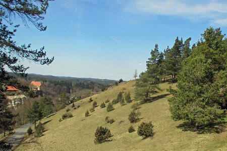 Blick auf Burg Pottenstein &ndash; (VGN &copy;&nbsp;VGN GmbH)