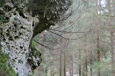 Hinauf nach Elbersberg &ndash; (VGN &copy;&nbsp;VGN GmbH)