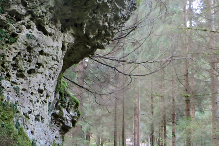 Hinauf nach Elbersberg &ndash; (VGN &copy;&nbsp;VGN GmbH)