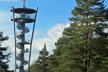 Aussichtsturm aus Richtung Elbersberg kommend &ndash; (VGN &copy;&nbsp;VGN GmbH)