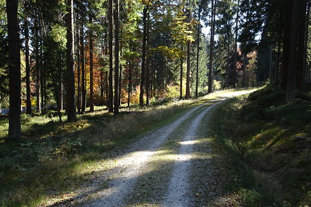 Radweg &ndash; (14.10.2018, S. Dassler &copy;&nbsp;VGN GmbH)