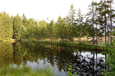 Am Fichtelsee &ndash; (14.10.2018, G. Härer &copy;&nbsp;VGN GmbH)