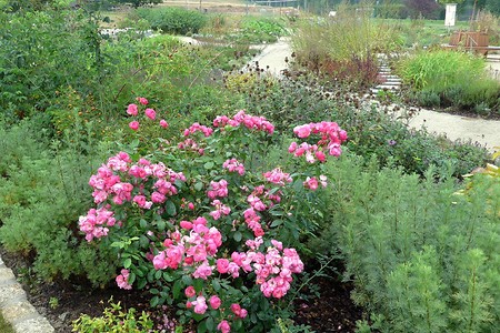 Duft- und Schmetterlingsgarten &ndash; (14.10.2018, G. Härer &copy;&nbsp;VGN GmbH)