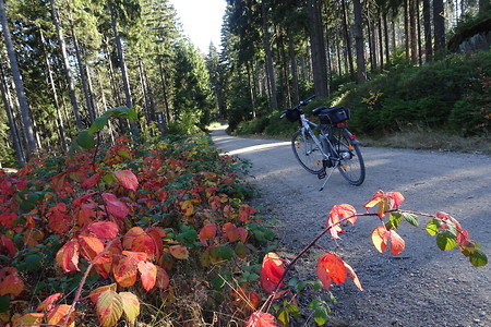 Radweg herbstlich &ndash; (14.10.2018, S. Dassler &copy;&nbsp;VGN GmbH)