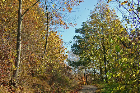 Herbstwandern &ndash; (VGN &copy;&nbsp;VGN GmbH)