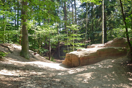 Sandstein am Schmausenbuck &ndash; (10.08.2014, VGN &copy;&nbsp;VGN GmbH)