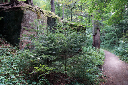 Alte Steinbrüche am Schmausenbuck &ndash; (VGN &copy;&nbsp;VGN GmbH)
