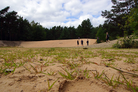 Sanddüne am Nordostpark &ndash; (VGN &copy;&nbsp;VGN GmbH)