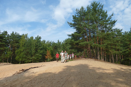Dünenwanderung im VGN &ndash; (10.08.2014, VGN &copy;&nbsp;VGN GmbH)