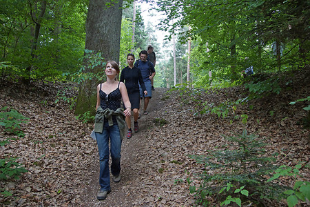 Abstieg vom Schmausenbuck Richtung Laufamholz &ndash; (VGN &copy;&nbsp;VGN GmbH)