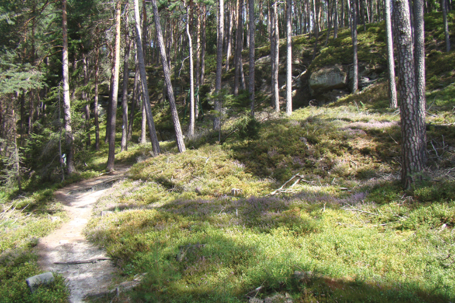 Waldpfad unterhalb der Sandsteinfelsen &ndash;  (VGN &copy;&nbsp;VGN GmbH)