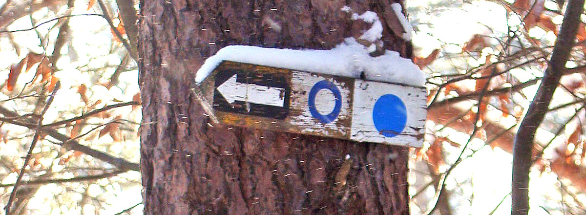 Unsere Wegzeichen "Blauer Kreis" und "Blaupunkt" &ndash;  (VGN &copy;&nbsp;VGN GmbH)