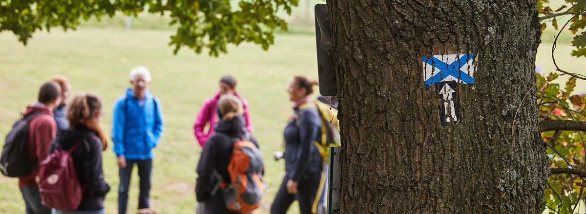 Wandergruppe mit Wegezeichen &ndash;  (03.10.2020, Andrea Gaspar-Klein &copy;&nbsp;VGN GmbH)