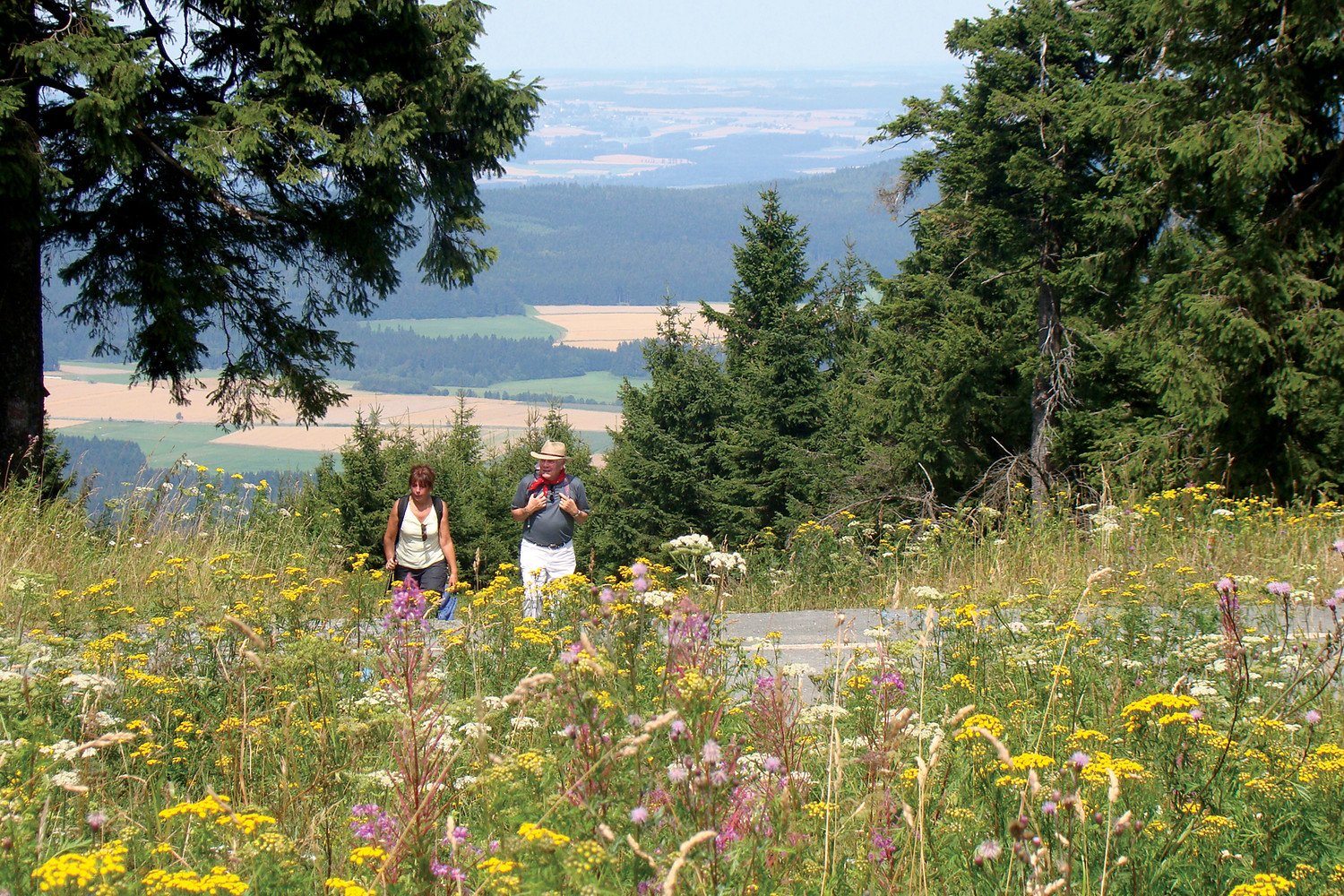 Anstieg zum Schneeberg, Gipfelplateau &ndash;  (VGN &copy;&nbsp;VGN GmbH)