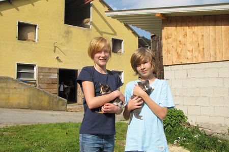 Katzen &ndash; (25.09.2011, VGN &copy;&nbsp;VGN GmbH)