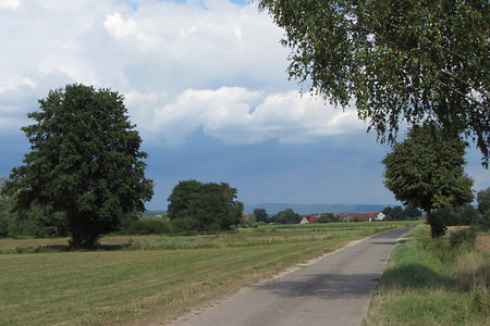 Zwischen Pommersfelden und Röbersdorf &ndash; (09.08.2012, Rück &copy;&nbsp;Rück)