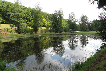 Weiher &ndash; (13.09.2012, Rück &copy;&nbsp;Rück)