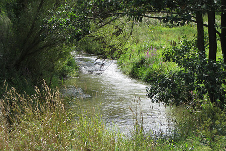 Flüsschen &ndash; (09.08.2012, Rück &copy;&nbsp;Rück)