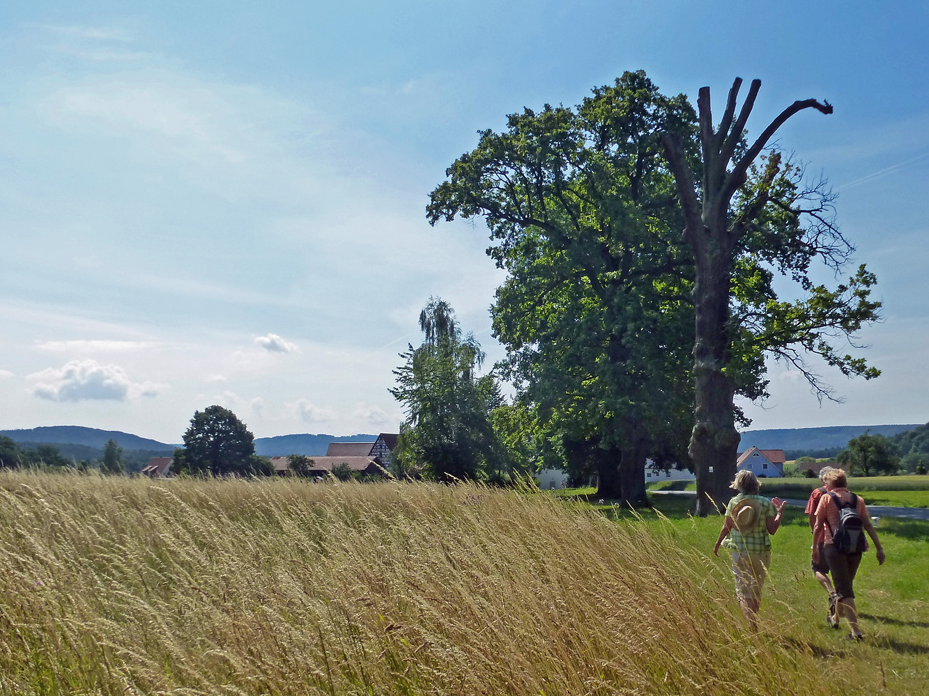Vor Rüblanden &ndash;  (03.07.2014, VGN &copy;&nbsp;VGN GmbH)