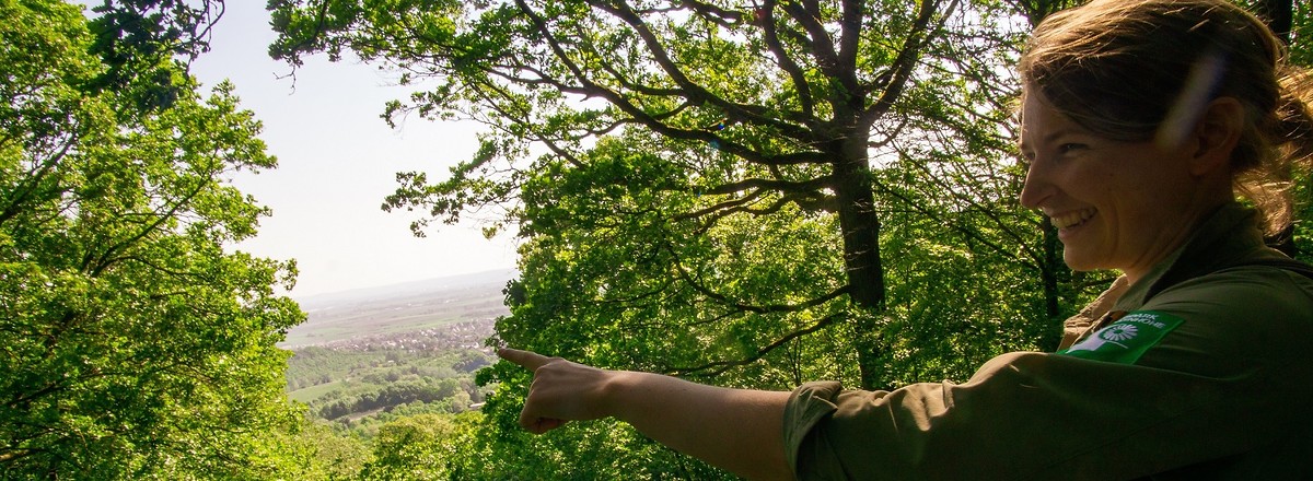 Aussichtspunkt &ndash;  (27.09.2020, U. Büscher &copy;&nbsp;VGN GmbH)