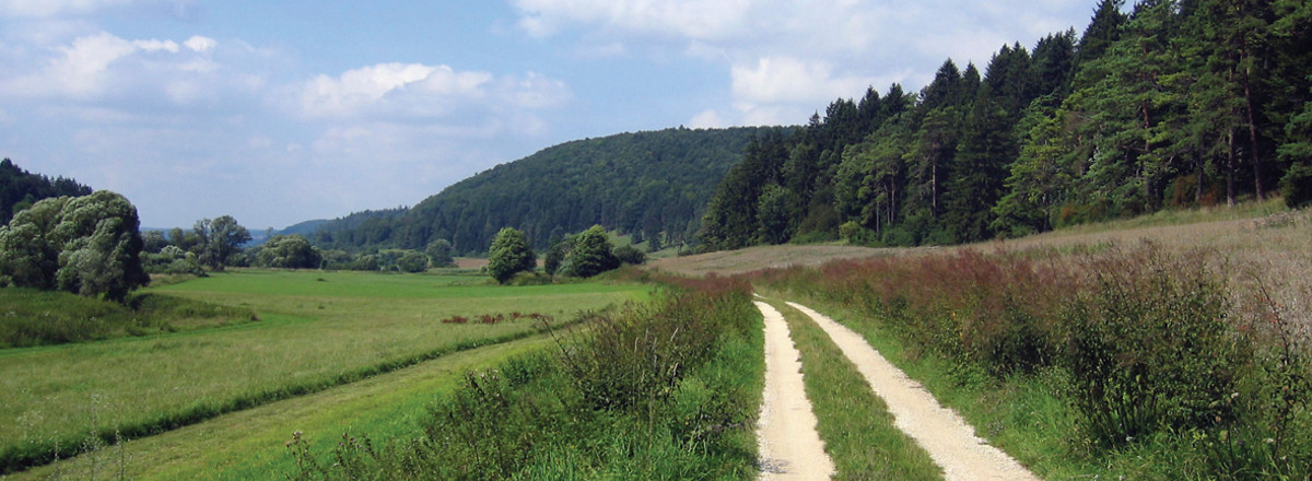 Auf dem Weg zurück nach Schambach &ndash;  (VGN &copy;&nbsp;VGN GmbH)