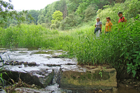 Im Steinbachtal &ndash; (22.06.2012, VGN &copy;&nbsp;VGN GmbH)