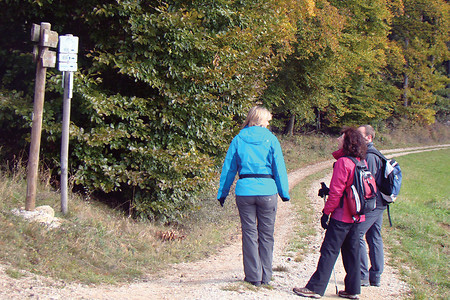 Hinweisschilder am Waldeck &ndash; (24.10.2011, VGN &copy;&nbsp;VGN GmbH)