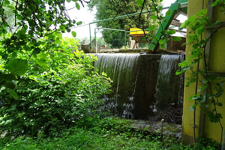 Bächlein hinter der Frohnhofer Mühle &ndash; (20.06.2018, VGN S.Dassler &copy;&nbsp;VGN GmbH)