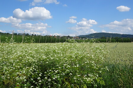 Blick zurück nach Rüsselbach &ndash; (20.06.2018, VGN S.Dassler &copy;&nbsp;VGN GmbH)