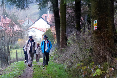 Auf dem Weg nach Hartmannshof &ndash; (01.12.2013, VGN &copy;&nbsp;VGN GmbH)