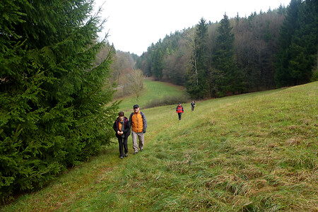 Hinauf nach Weigendorf &ndash; (01.12.2013, VGN &copy;&nbsp;VGN GmbH)