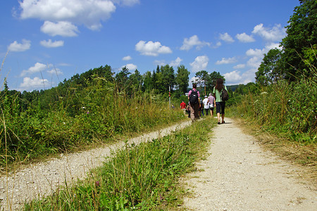 Breiterer Flurweg kurz vor dem Felsenkeller &ndash; (24.07.2014, VGN &copy;&nbsp;VGN GmbH)