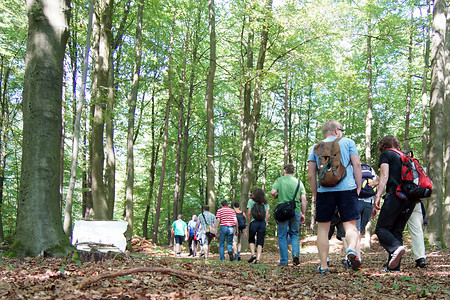 Im Wald unterwegs &ndash; (24.07.2014, VGN &copy;&nbsp;VGN GmbH)
