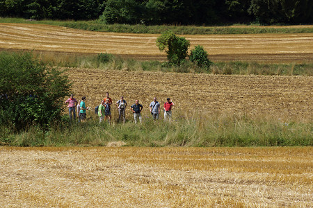 Zwischen Kornfeldern &ndash; (24.07.2014, VGN &copy;&nbsp;VGN GmbH)