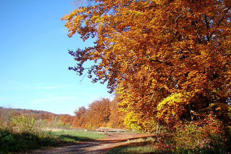Am Altmühltal Panoramaweg &ndash; (25.10.2013, VGN &copy;&nbsp;VGN GmbH)